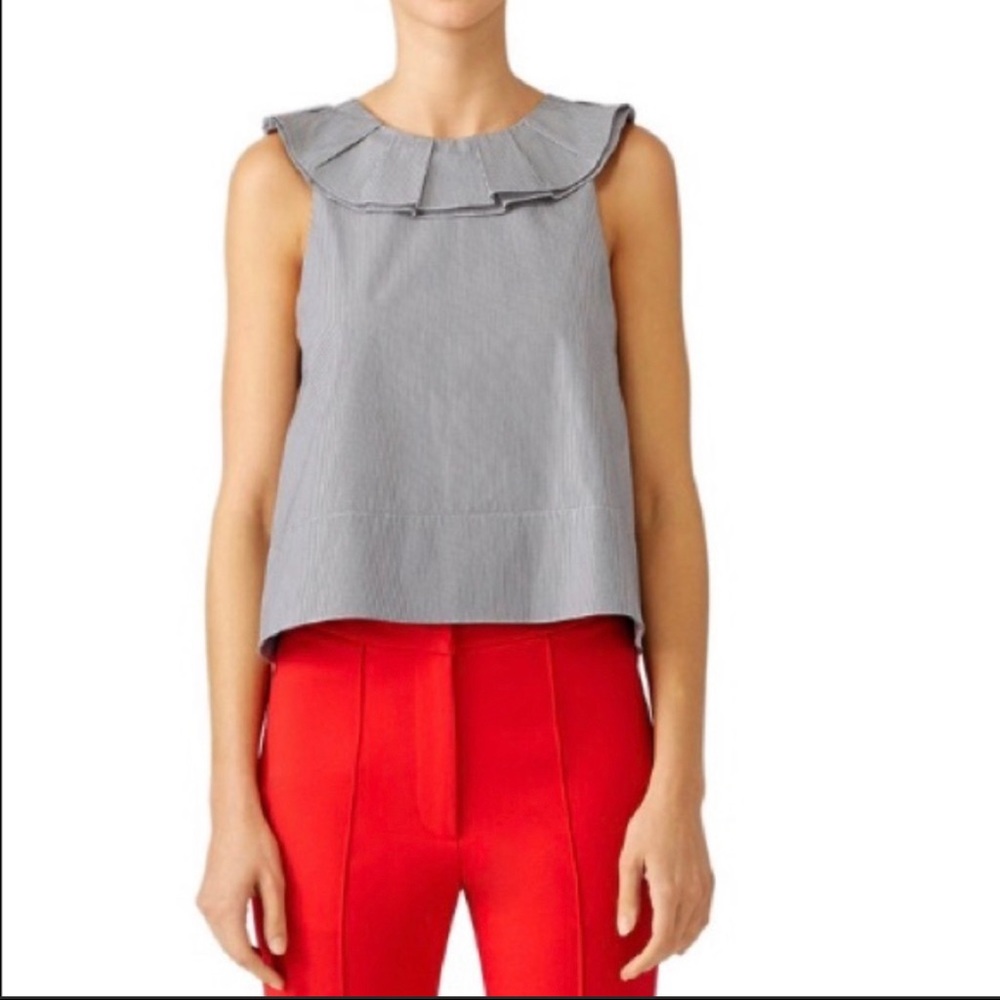 Tibi Striped Ruffle Top